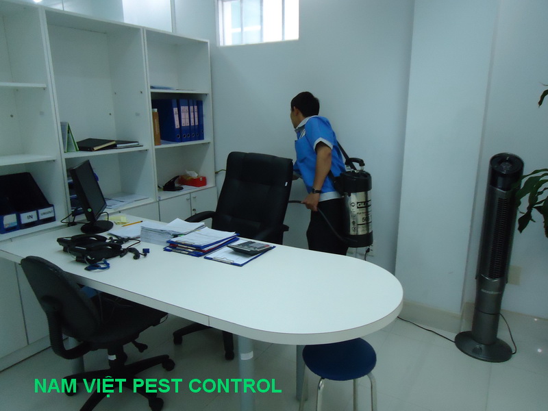 Dịch vụ diệt côn trùng - Công Ty TNHH Thương Mại Và Dịch Vụ Trừ Mối Nam Việt